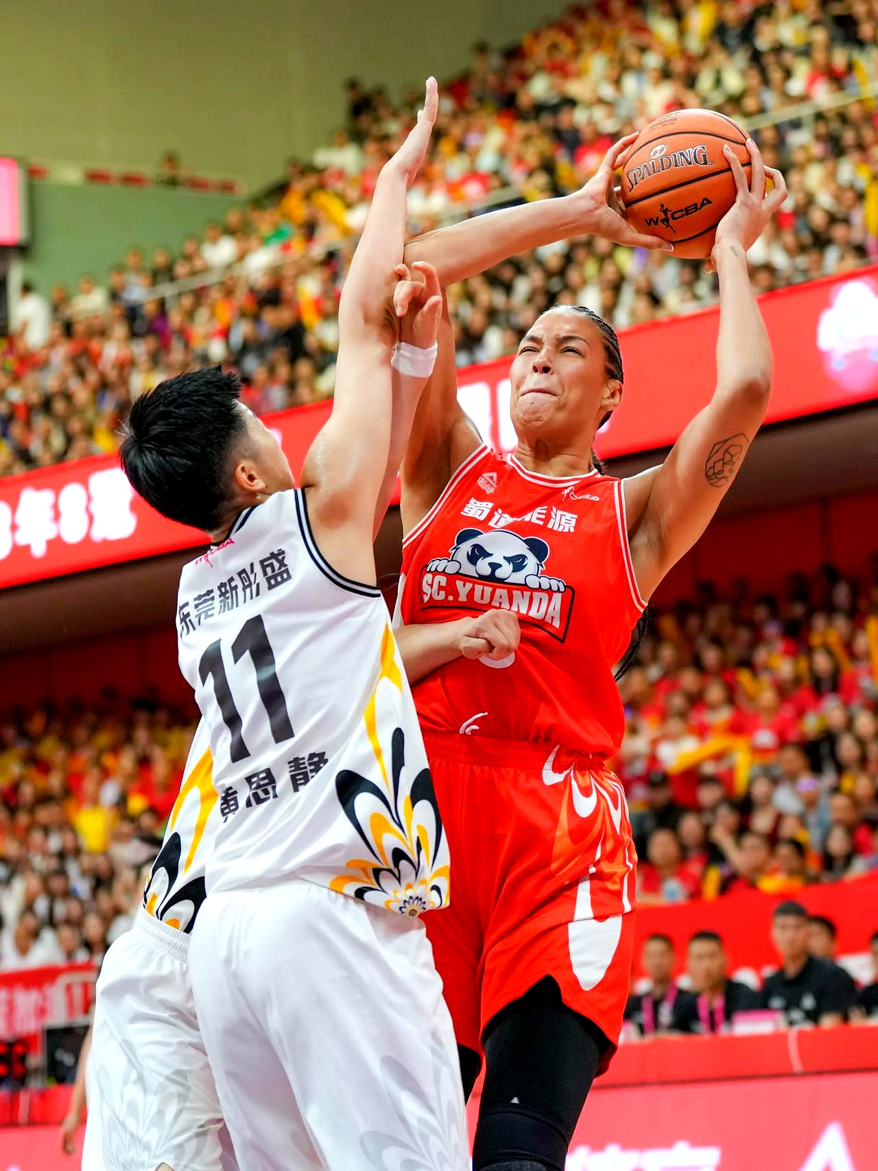 拉齐奥冲刺阶段绝杀压哨；志在CBA常规赛名次提升；气氛紧张；细节决定成败的简单介绍